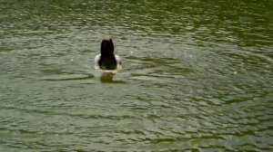 Брынцаловское озеро и водопады на реке Кума