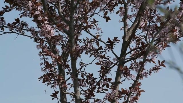 Похождения неверной жены. Невероятные истории измен. Истории из жизни. Аудио рассказ.