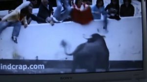 Опасные быки Испании!