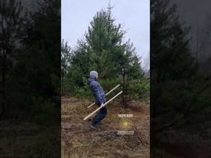 Практикую упражнения с палками и восстанавливаю запасы природной энергии ☀️