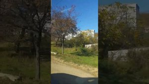 Душкино- Южно- Морской