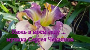 Июль в моём саду*
