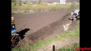 Посадка картошки 15.05.2018, мотоблок Нева мб 23, нарезка борозд