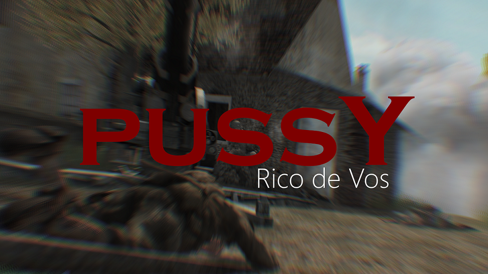 Call Of Duty 2 - PussY