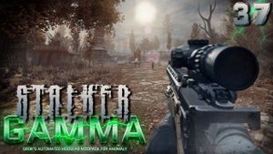S.T.A.L.K.E.R.  Anomaly GAMMA (37) ► Трагедия группы Дикого