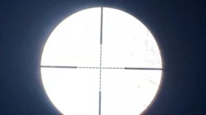 Охота на Ворон в корзинках Кроухантинг с пневматикой в Мае ч.2 Crow Hunting 2022