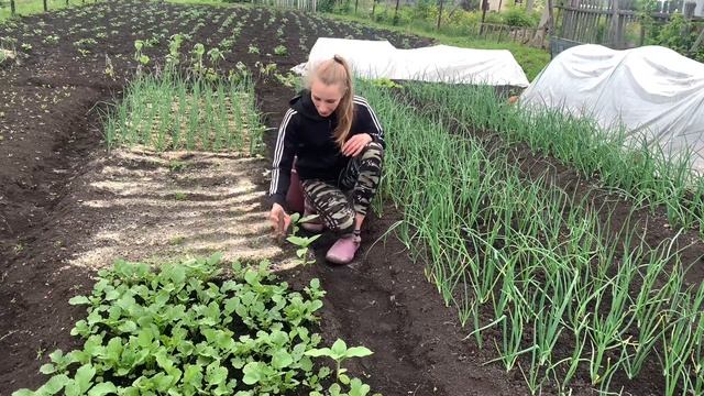 Мой день: Испекла булочки / Муж купил мне Дамскую лопату / Вечерняя прополка грядок / Влог смотреть онлайн