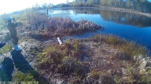 Рыбалка.Озеро в д.Алёшино(Московская обл.,Егорьевский район)