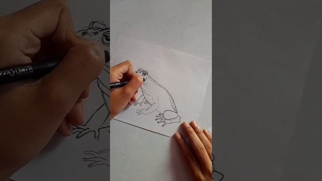 F FOR FROG - ANIMAL DRAWING#drawing #animaldrawing #shortvideo