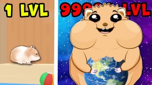 Максимальная Эволюция ХОМЯЧКА в Hamster Maze
