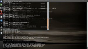 Instalación de Oracle 10g XE en Linux Ubuntu