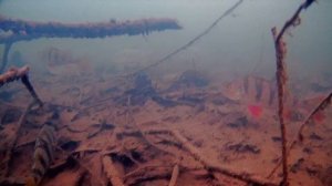 РЫБАЛКА КАК НА ПЕРВЫЙ ЛЕД РАЗДАЧА КРУПНОГО ОКУНЯ КАК ИЗ ПУЛЕМЕТА! ЗИМНЯЯ РЫБАЛКА 2021-22