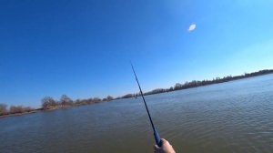 Судак на джиг Астрахань.Весна 2022г.