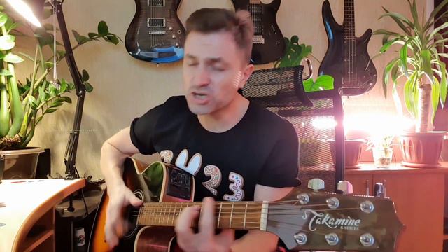 Звери - До скорой встречи (Cyril cover)