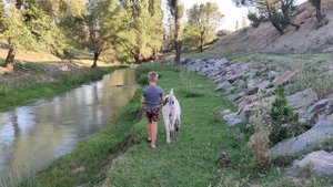 Прогулка с Алабаем на выходных.