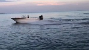 Касатка-710. Две лодки в лёгком обзоре.