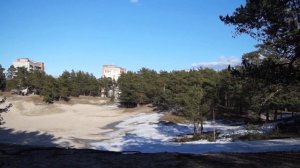 Сосновый Бор | Обзор города | Блог