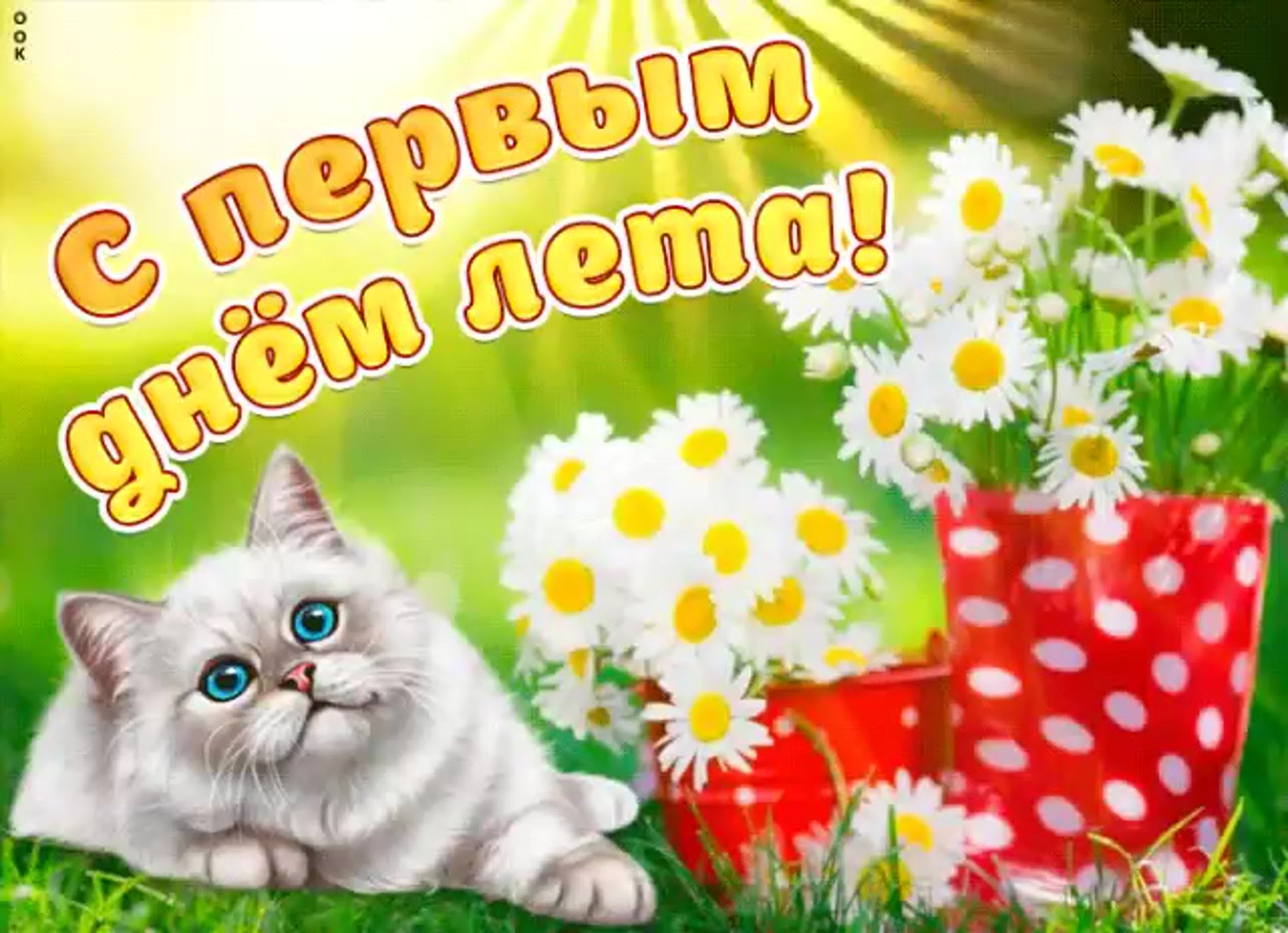 День защиты детей картинки прикольные с котами
