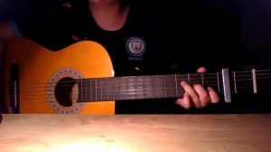 hotel california guitar by the eagles (no barre cords)