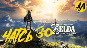 Зельда прохождение || Часть 30 || Breath of the Wild прохождение на русском ||   АндрейЛетсплей ||