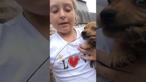 Мне купили собаку!!