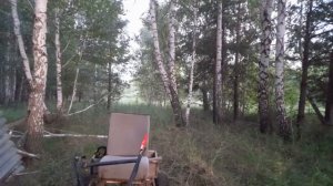 СМОТРЕТЬ ВСЕМ НАЧИНАЮЩИМ ЛЮБИТЕЛЯМ ПОХОДОВ В ЛЕС ! КТО КРИЧИТ В ЛЕСУ ? ИЛИ ЛАЙ КОСУЛИ !