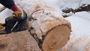 РАБОТА В ЛЕСУ!!! БЕНЗОПИЛА KROFF!!!