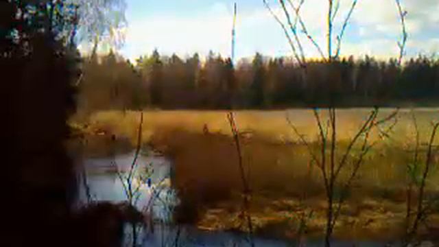 Природа Беларуси. Под Витебском. смотреть онлайн