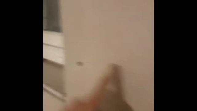 КУХНЯ СТЕНЫ ИЗ ГИПСОКАРТОНА ДЕНЬ 8 й И 9 й смотреть онлайн