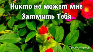 свет - владыка 4