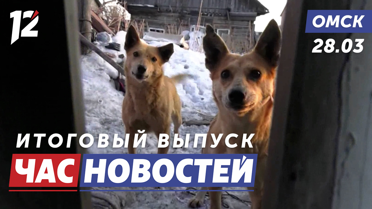Нападение собак / Вырубка деревьев / Авто на СВО. Новости Омска