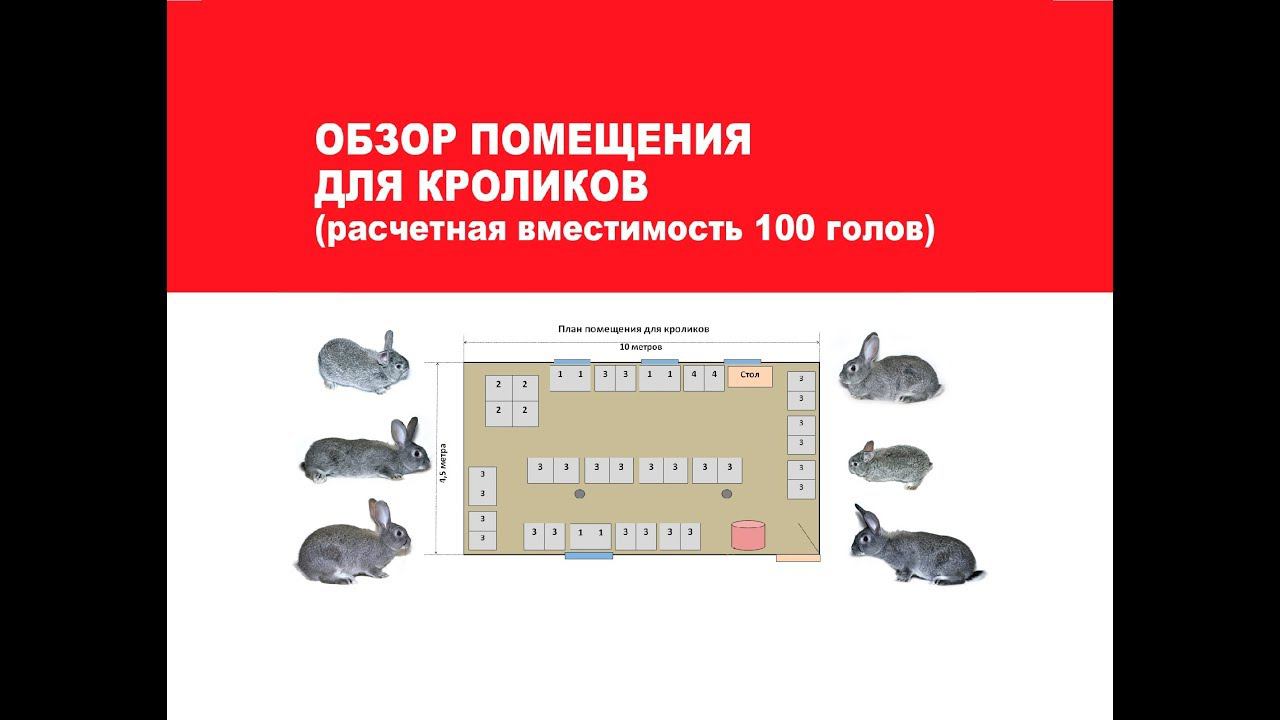 ОБЗОР ПОМЕЩЕНИЯ для кроликов (расчетная вместимость 100 голов)