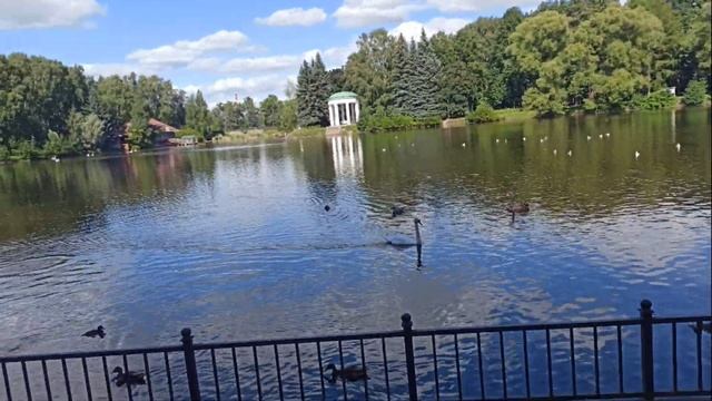 VLOG:ПАРК 300-ЛЕТИЯ ПЕТЕРБУРГА/ПРИМОРСКИЙ ПАРК ПОБЕДЫ