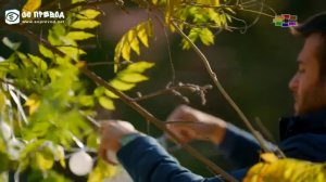 Мерием 54 епизода