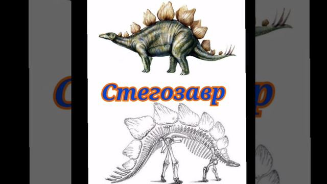 презентация 