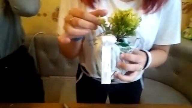 Заказ растений в интернет-магазине Беккер смотреть онлайн