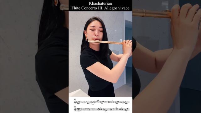 Khachaturian Flûte Concerto III. Allegro vivace (slow and low register part) смотреть онлайн