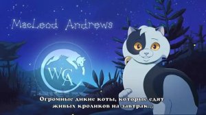 Коты-Воители кастинг 1 WCAnimated на русском (читайте описание)