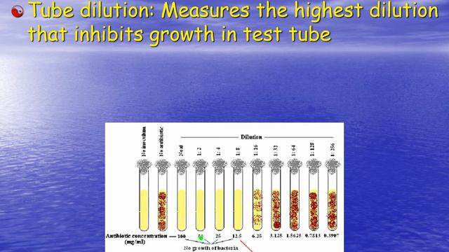 BCS 210 Crowley Narrated Lecture Chapter 8 смотреть онлайн