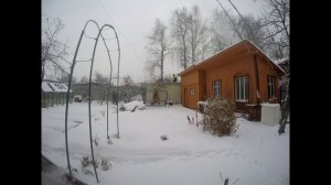 1) Блог агронома - кронирование берез (высотные работы)