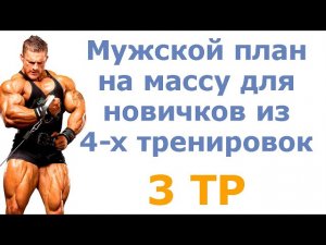 Мужской план на массу для новичков из 4-х тренировок (3 тр)