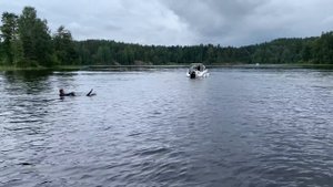 Поход на катере. Ладожский поход чата "Причал"