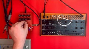 The Flamma FS22 Ekoverb is great