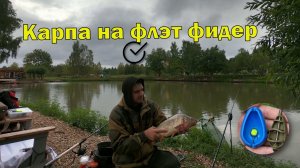 Карпа. Карпа на флэт фидер. КЛЁВая Усадьба!