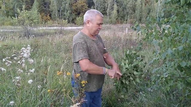 Режем качественно и быстро банные веники. смотреть онлайн