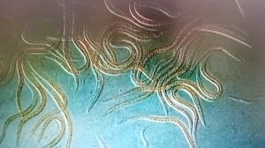 Как просто избавиться от нематод, без вреда для здоровья!