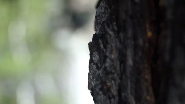 Водопад "Гадельша"