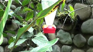 профессия орнитолог