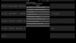 Активация опций при помощи PyClip DACIA 176+