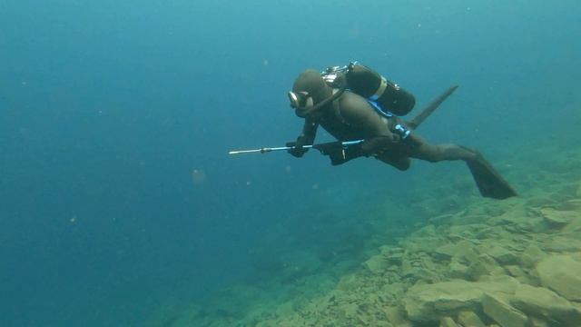 Spectre Frogman